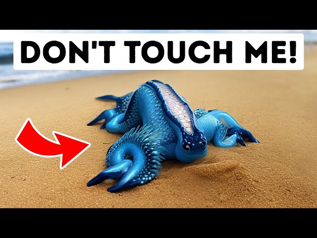 If You See One of These Creatures, RUN! + Other Life-Saving Tips!