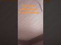 pvc panel ceiling design work # wall Paneling #ceiling #interiordesign #gypsum #pvcceiling #home
