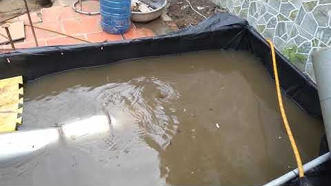 bơm trục xiên 0901052969