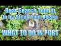Bear Search Tour in Icy Straight Point, Alaska - What to Do on Your Day in Port