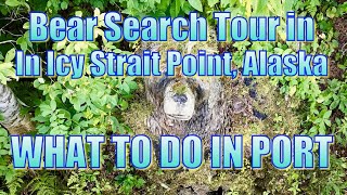 Bear Search Tour in Icy Strait Point, Alaska - What to Do in Port