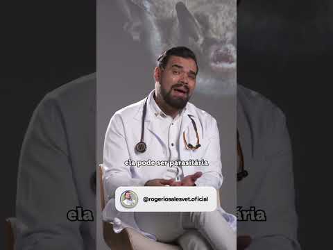 Ref:6kkStyACVHM Zoonoses são doenças infecciosas transmitidas entre animais e pessoas.