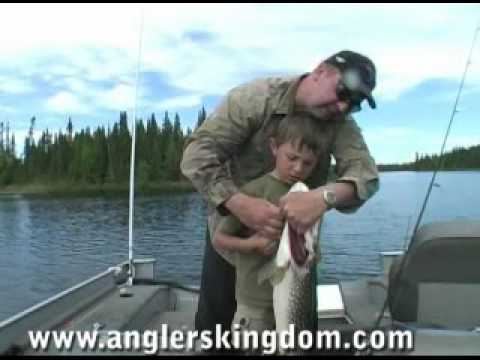 6 yr old Hayden Geary catches his 12th pike over 40 inches at Angler's Kingdom on Nungessser Lake in northwestern Ontario Canada