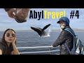 AbylTRAVEL #4: Лонг Бич жағажайы. Тынық мұхитымен круиз. кИТ адамның досы. Дельфиндармен жарыс.
