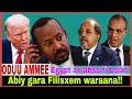 Abiy Gara Filisxeem Waraana Trump Egypt Lolaaf Arrabso 12 19 2025 AGM