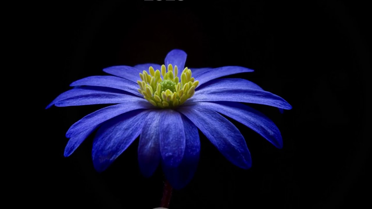 Vesta Records Presents - SPRING SAMPLER 2020 (VR58)