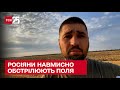 💥 Виродки навмисно обстрілюють поля! Мінні жнива, які увійдуть в історію! Євген Ситниченко в ТСН