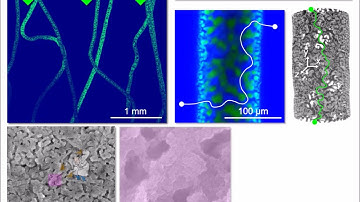 Bicontinuous Emulsions for Catalysis