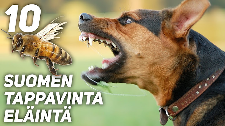 10 SUOMEN TAPPAVINTA ELÄINTÄ