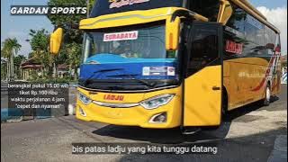 PATAS LADJU | JEMBER - SURABAYA | MEWAH DAN CEPAT #bus