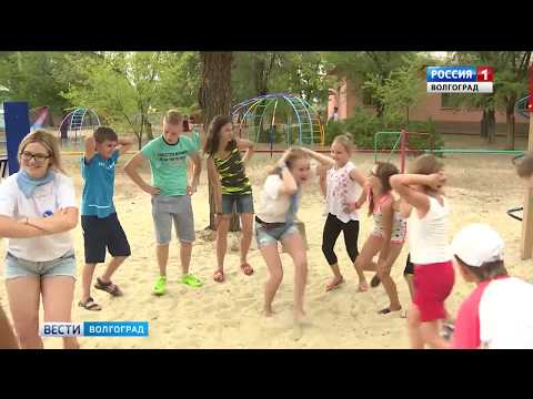Лагерь Чайка Светлоярский район