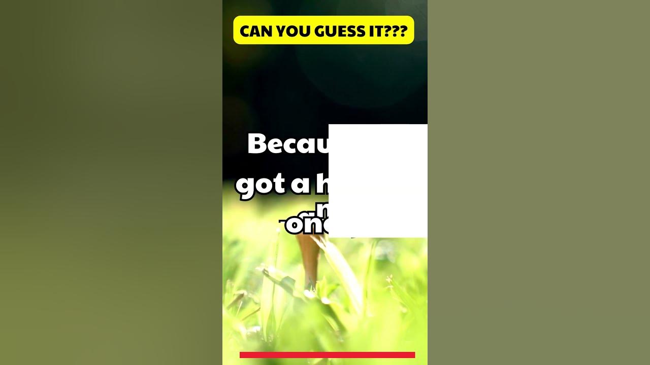  shorts why did the golfer wear two pairs of pants youtube
