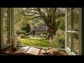 Peaceful Summer Day Soft Piano Music For A Quiet Morning Deep Focus Reading Slow Living 