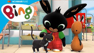 ¡Bing ve un gato e intenta jugar con él! | Bing Español