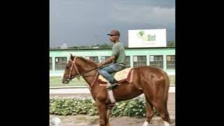 Danial Ceaser Horsepower 432hz