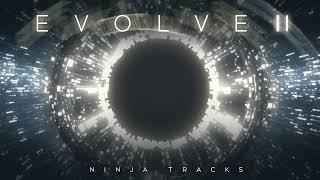 Ninja Tracks - Vigilant