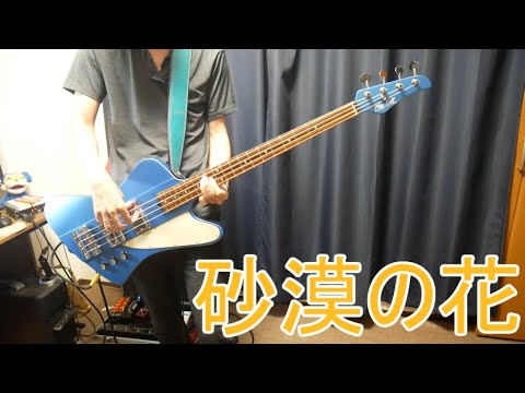 スピッツ/砂漠の花　ベース演奏動画　Mike Lull Custum Guitars T4 Mahogany-Satin Lake Placid Blue-　マイクルル