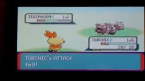 Shiny Torchic After 6349 Soft Resets