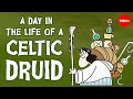 A day in the life of a Celtic Druid - Philip Freeman