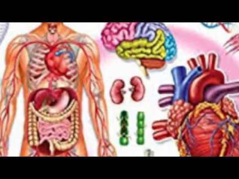 Human body / Important Questions|| What is study of human body called