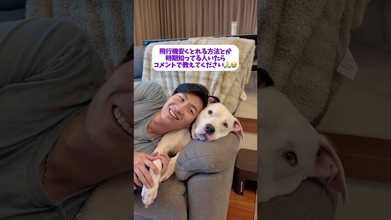 アメリカ人旦那🇺🇸がアメリカで恋しいものとは…?🥹🥹 #アメリカ人旦那 #英会話 #国際結婚 #カップル