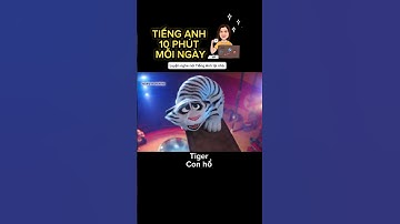 Học tiếng anh thú vị mỗi ngày | 10 phút tiếng anh mỗi ngày