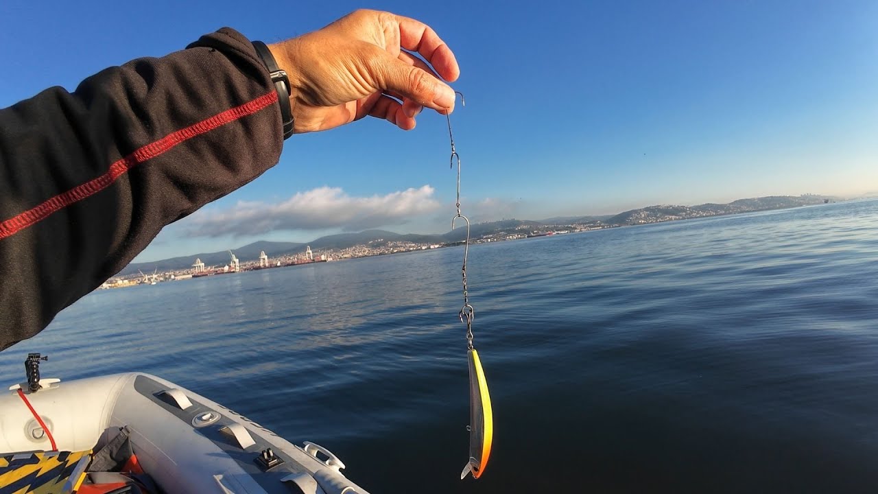ОНИ ПРИШЛИ К ДОМУ, ЛОВЯ ЛУКУ НА ДЛИННУЮ ЛЕСКУ.