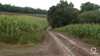 Via rural da Linha Martinello tem sido motivo de...