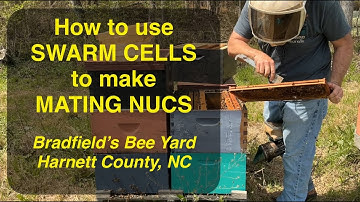 EASY for BEGINNERS Spring Splits with Swarm Cells