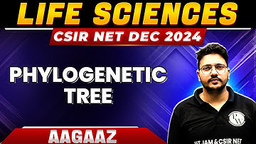CSIR NET 2024: Phylogenetic Tree - Evolution for CSIR NET | CSIR NET Life science