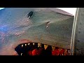 This Shark is UNSTOPPABLE (Best Jaws 3 Scenes) 🌀 4K