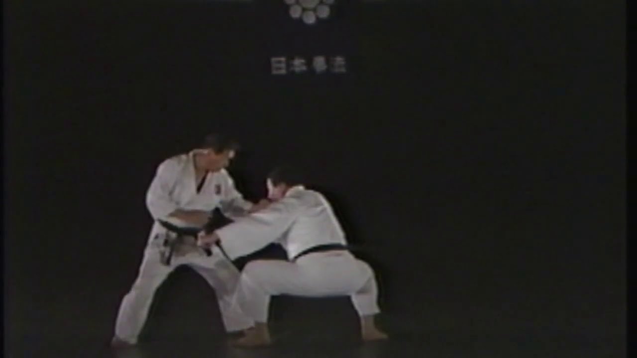 Nippon kempo techniques (Kata)