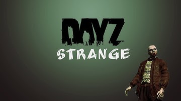 DayZ Standalone- Strange encounter