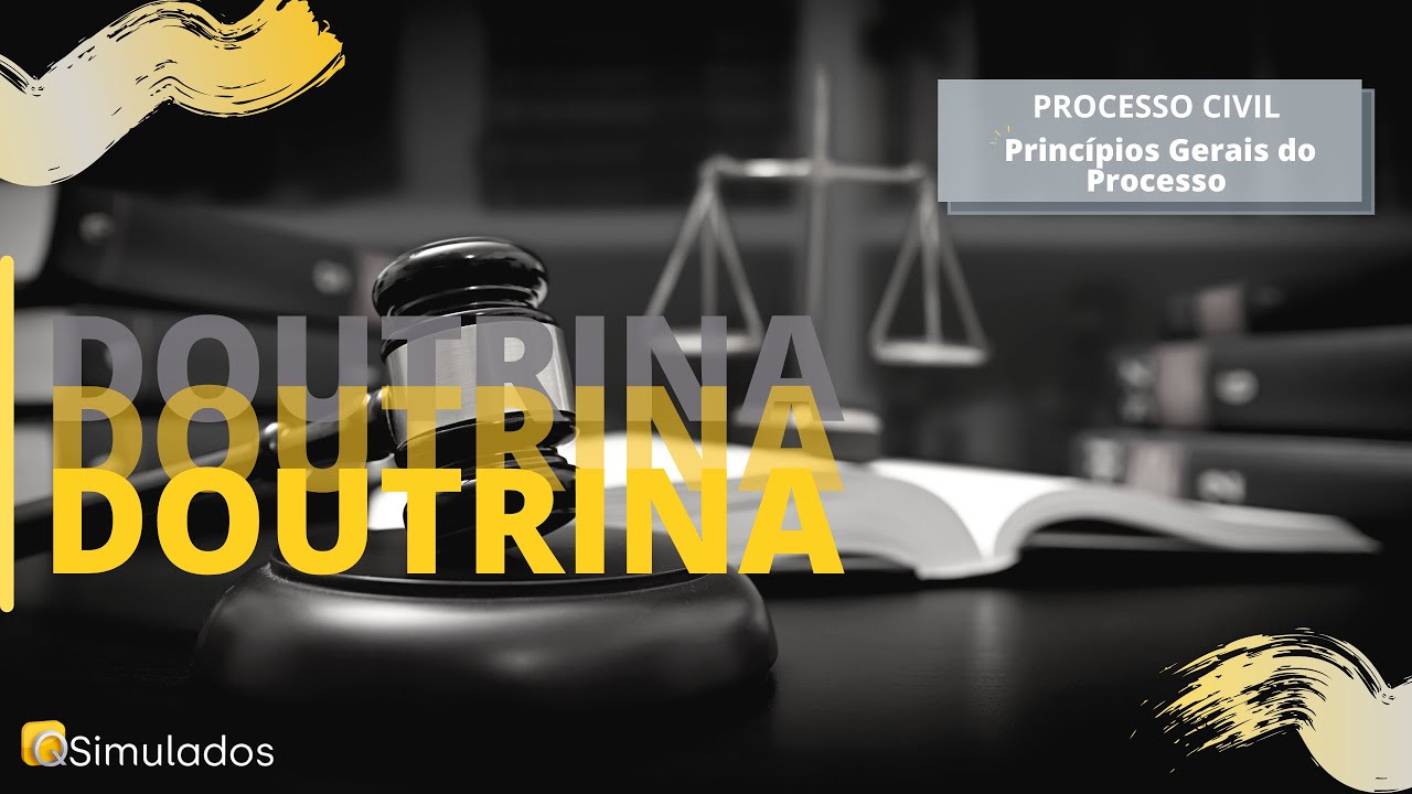 PROCESSO CIVIL Princ pios Gerais Do Processo E As Normas Fundamentais 