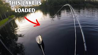 Fishing REMOTE Lakes Until I Hit The Jackpot