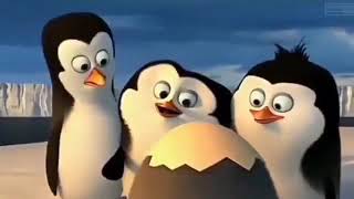parodi pinguin bokep