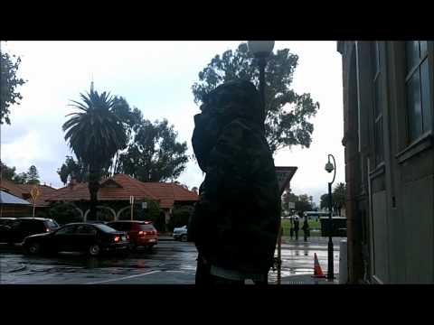 Video South Side King - Predator WS - youtube