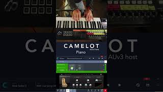 Live performance setup on your iPad with Camelot Pro as your trusted host! screenshot 4