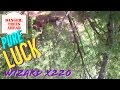 PURE LUCK - Wizard X220 Noob Freestyle Flight Through Trees