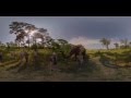360 4K Video Elephant walk, Oculus Rift VR - Photos of Africa