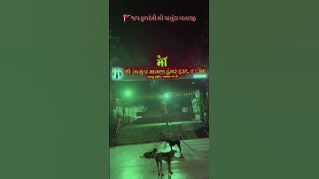 #kuldevimaa #chotila #chamundamaa #india #gujarat #rajkot #maa #love #viral #viralvideo #video