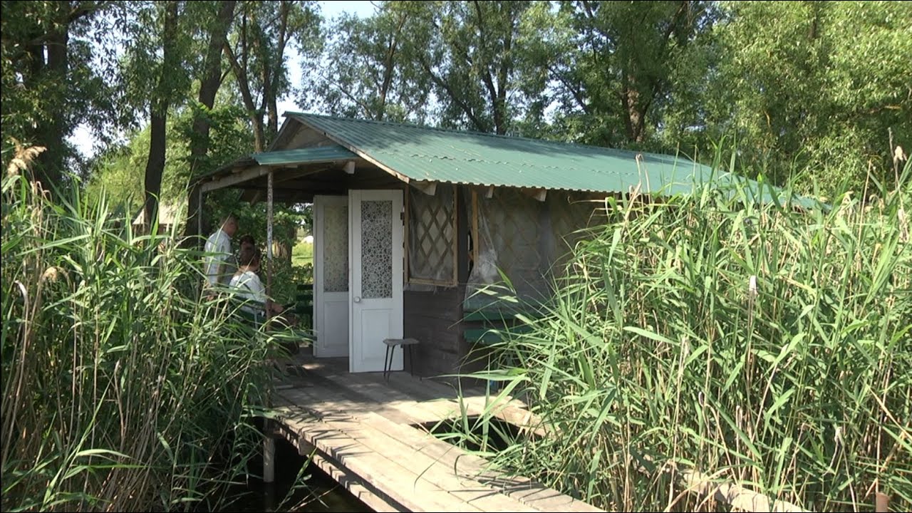 13 голів рогатої худоби, кури, індики, свині. І все це тримає одна родина, яка мешкає у селі Клишки