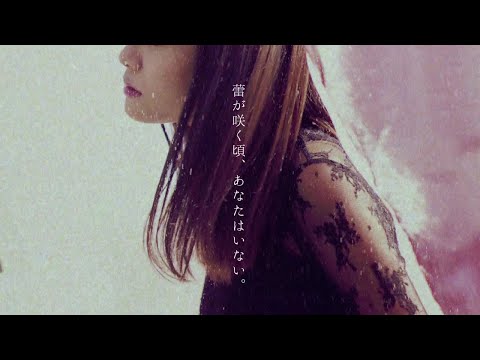 蕾が咲く頃、あなたはいない /  Sister Ley