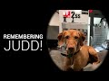 Remembering our shop dog, Judd.