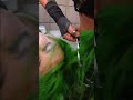 Bayley Cuts Off Shotzi S Hair 