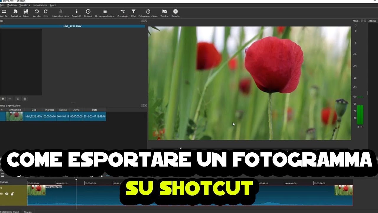 Come esportare un fotogramma su Shotcut