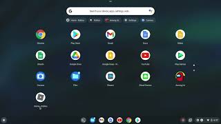 how to fix chrome os cant open this page(roblox erorr)