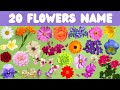 Easy Flowers Name For Kids | Flowers Name with pictures | Learn Flowers Name