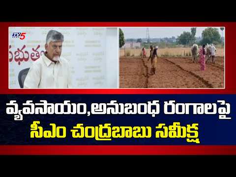 CM Chandrababu Reviews Agriculture and Allied Sectors | TV5 News - TV5NEWS