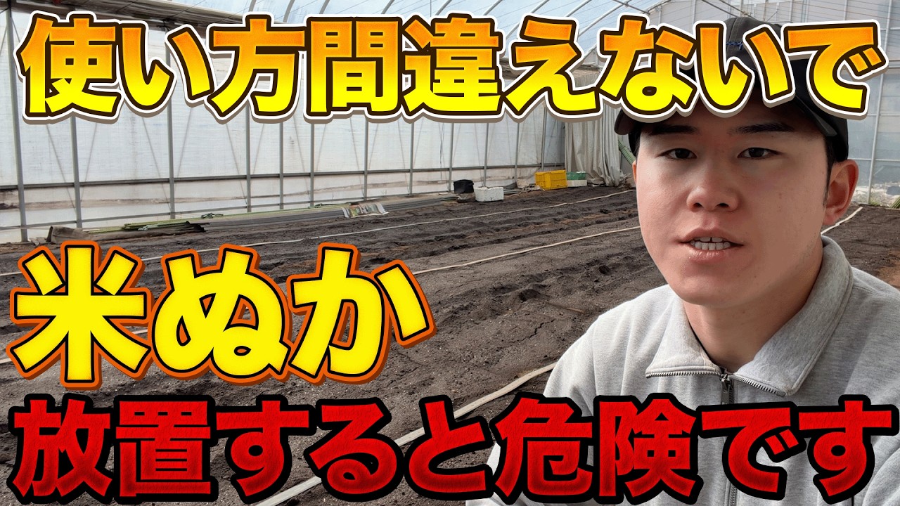 【ちゃんと使って】米ぬかを土壌改良に使用するならこのポイント押さえて！